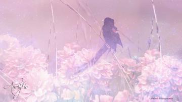 Widowbird