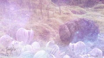 Wombat