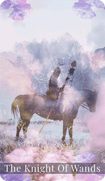 Knight of wands tarot card