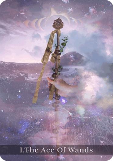 The ace of wands tarot card