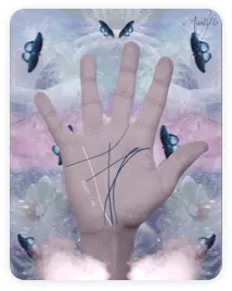 A hand with lines on the hand